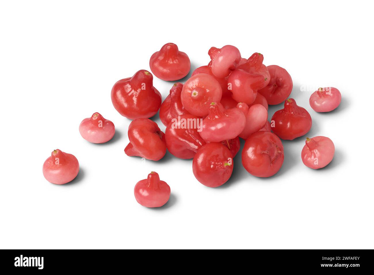 jambu ou pomme rose, aka fruit de cloche ou pomme de cire, la chair est croustillante et aqueuse, en forme de cloche ou de poire fruit juteux isolé sur fond blanc Banque D'Images
