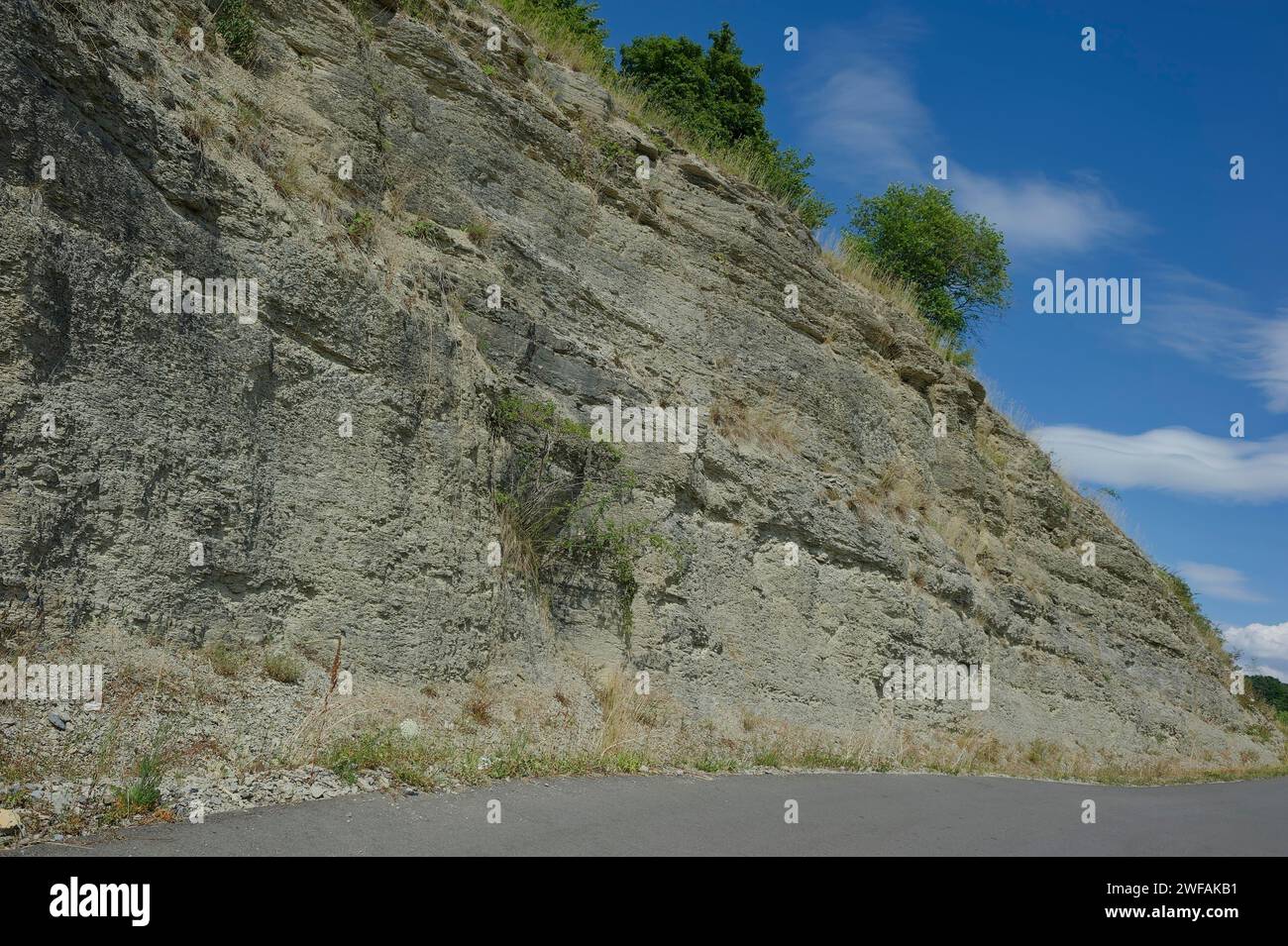 Calcaire ondulé, calcaire coquillier, géologie, temps préhistoriques, banc de vagues, Doerzbach, Jagsttal, Jagst, Hohenlohe, Heilbronn-Franken Banque D'Images