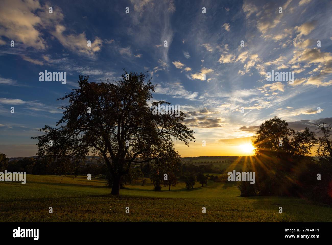 Prairie de verger Sunrise Banque D'Images