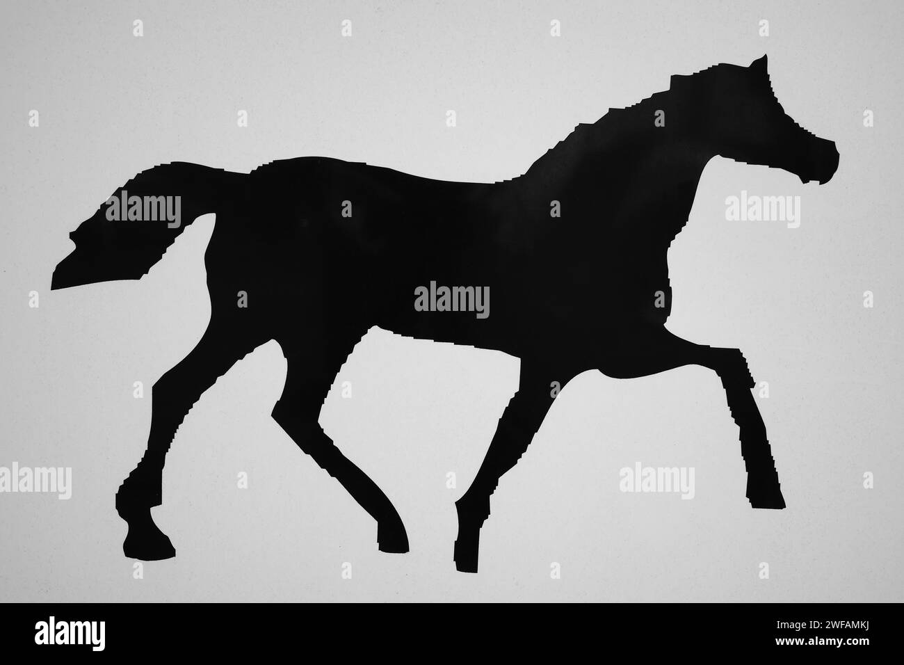 Symbole photo cheval, noir et blanc, Rhénanie du Nord-Westphalie, Allemagne Banque D'Images