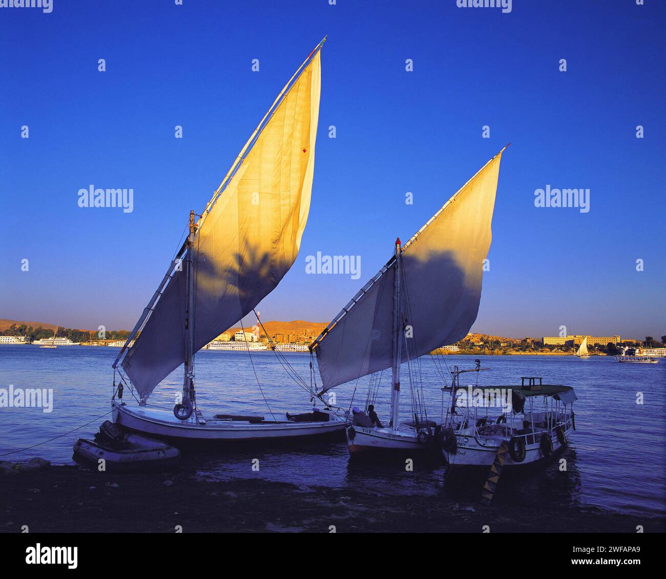 Lumière du soir sur les voiles de deux felouques sur la rive du Nil en face de Louxor, Egypte Egypte, Nil, Boats, coucher de soleil Banque D'Images