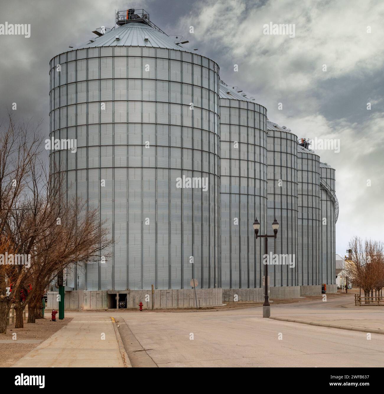 Cinq silos à grains avec lampadaire et des arbres aux couleurs de l'automne avec des nuages d'orage. ci-dessus. Banque D'Images