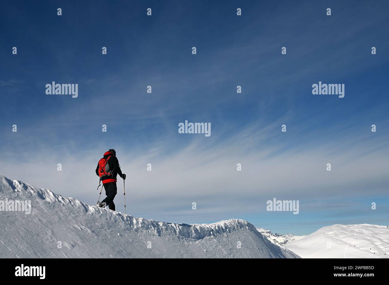 Schneeschuh Wandern im Naturpark Beverin, Graubünden, Suisse Banque D'Images