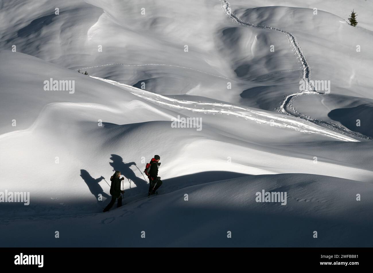 Schneeschuh Wandern im Naturpark Beverin, Graubünden, Suisse Banque D'Images