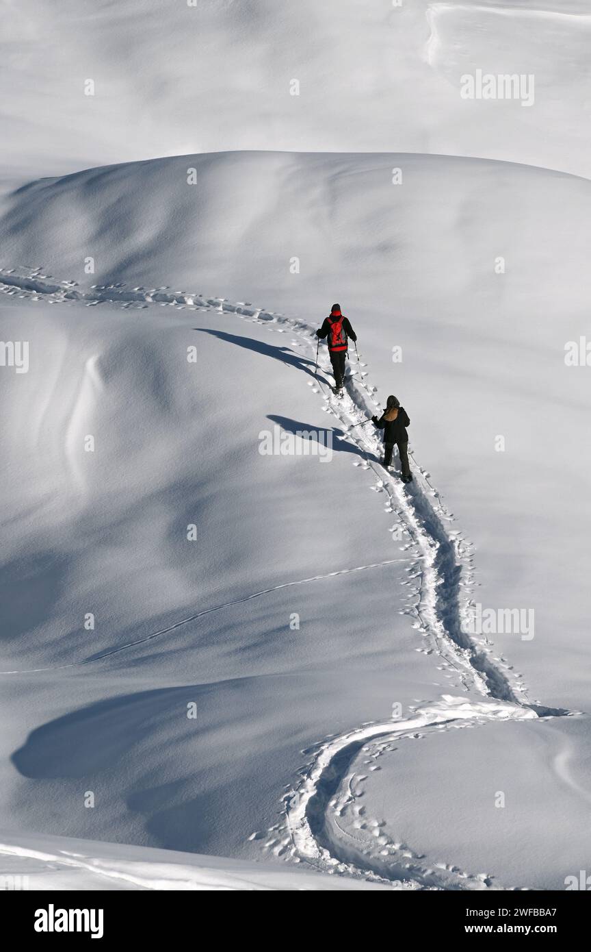 Schneeschuh Wandern im Naturpark Beverin, Graubünden, Suisse Banque D'Images