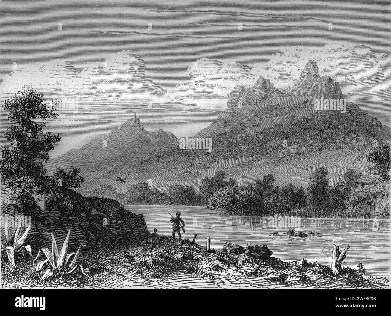 Vue de paysage précoce de la montagne Bambous, le plus haut sommet de la chaîne de Bambous, Bamboo Mountain ou Bamboo Mountains Maurice. Gravure vintage ou historique ou Illustration 1863 Banque D'Images