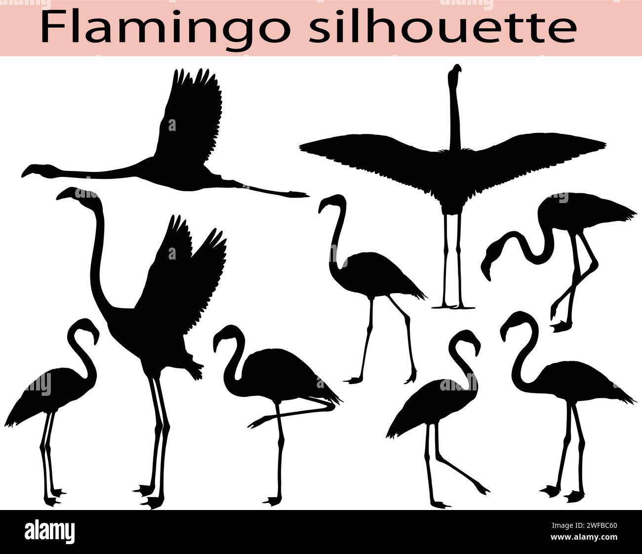 Collection de silhouettes d'oiseaux flamants Illustration de Vecteur