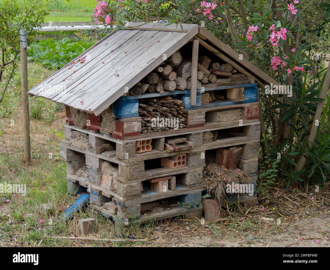 Hôtel insecte ou abeille dans un jardin d'été. Un hôtel à insectes est une structure artificielle pour abriter des insectes de formes, de tailles et de matériaux variés Banque D'Images