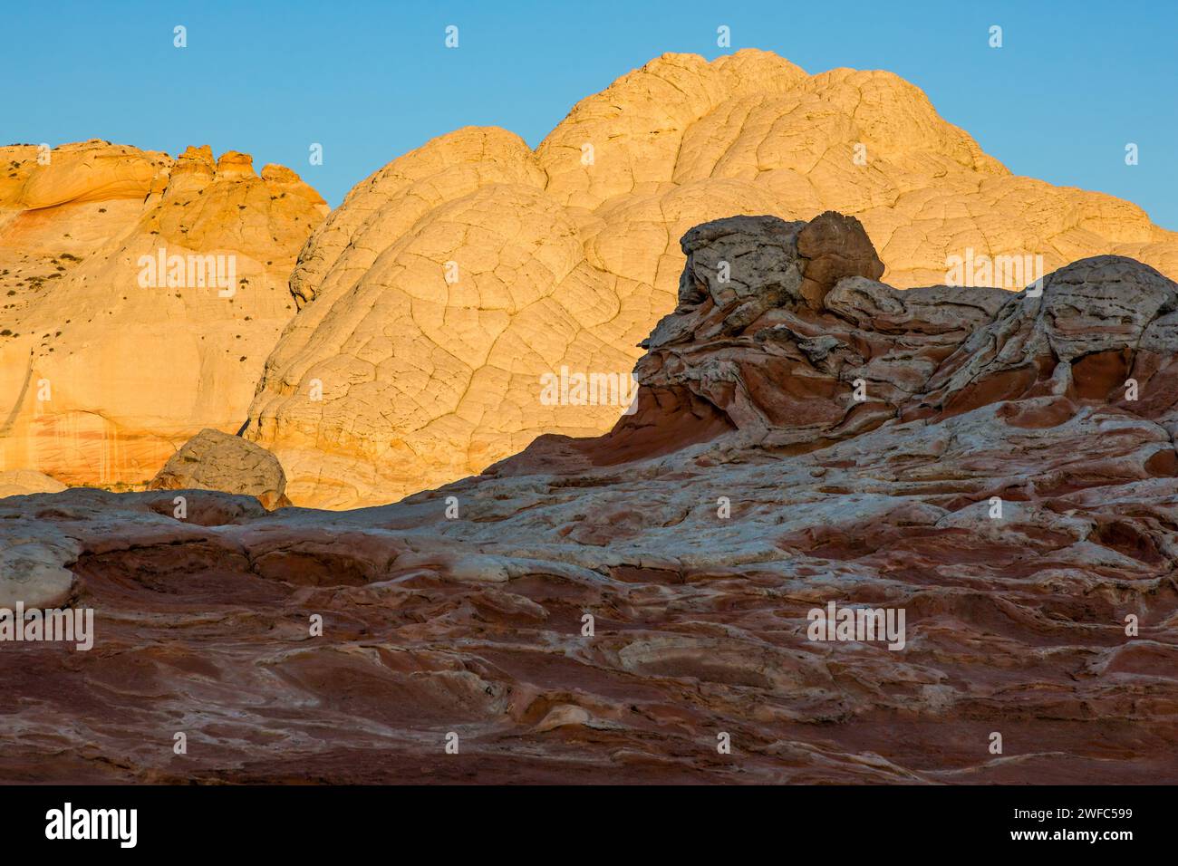 Lumière du lever du soleil sur le grès Navajo dans la White Pocket Recreation Area, Vermilion Cliffs National Monument, Arizona. Ce type de grès Navajo est Banque D'Images