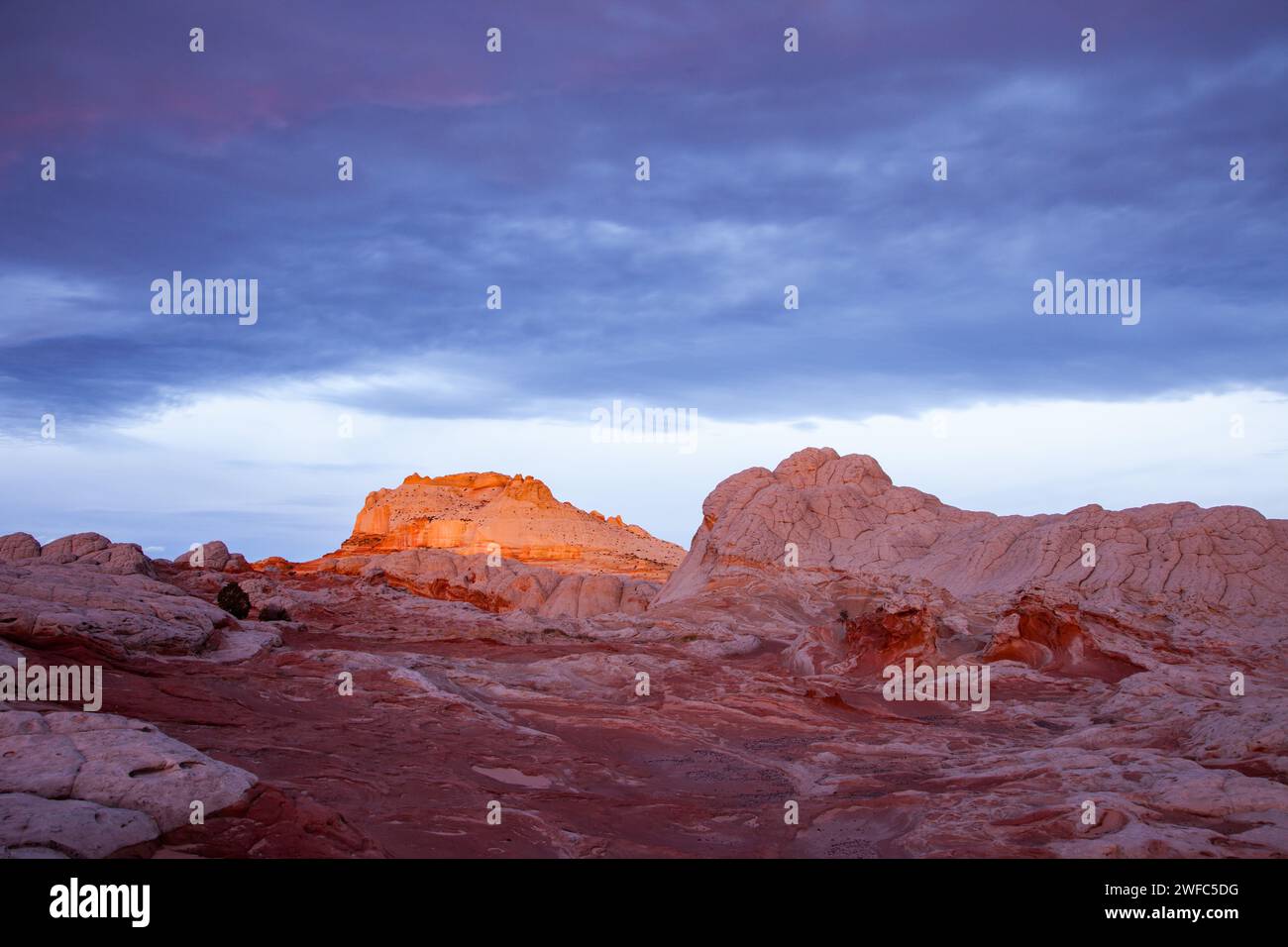 Première lumière sur le monolithe de grès dans la White Pocket Recreation Area, Vermilion Cliffs National Monument, Arizona. Banque D'Images