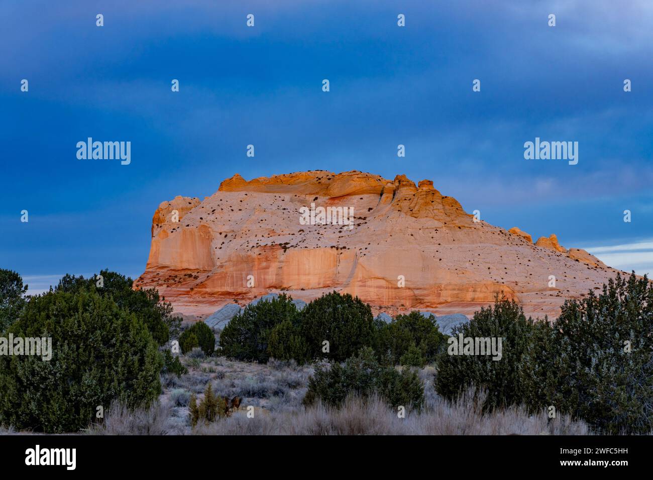 Première lumière sur le monolithe de grès dans la White Pocket Recreation Area, Vermilion Cliffs National Monument, Arizona. Banque D'Images