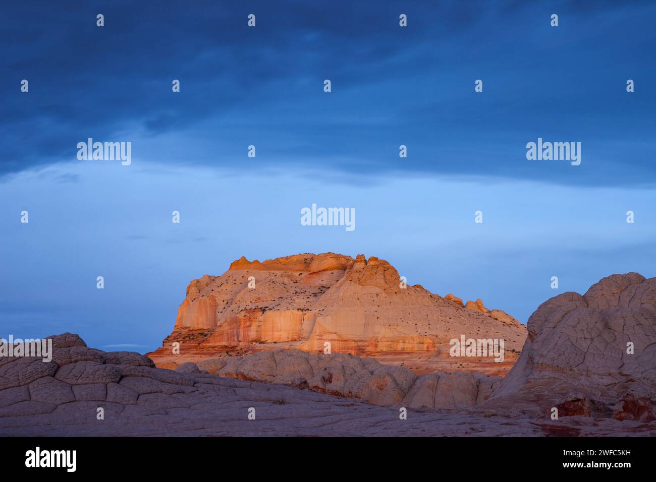 Première lumière sur le monolithe de grès dans la White Pocket Recreation Area, Vermilion Cliffs National Monument, Arizona. Brain Rock ou Pillow-rock est Banque D'Images