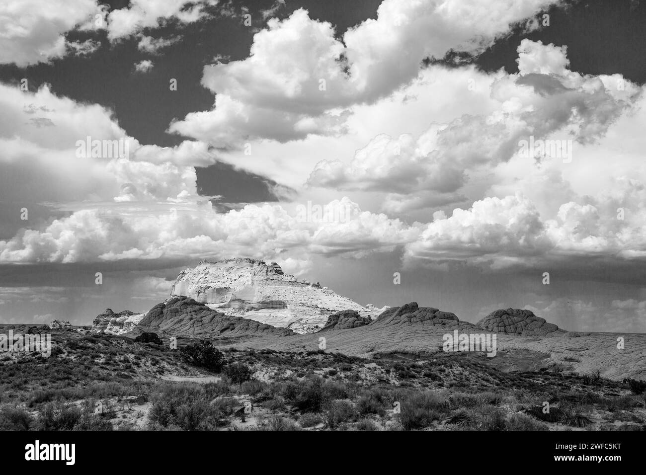 Une tempête de pluie au loin derrière la White Pocket Recreation Area dans le Vermilion Cliffs National Monument, Arizona. Banque D'Images