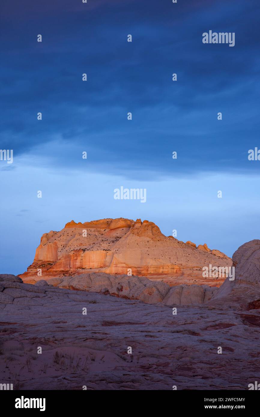 Première lumière sur le monolithe de grès dans la White Pocket Recreation Area, Vermilion Cliffs National Monument, Arizona. Brain Rock ou Pillow-rock est Banque D'Images