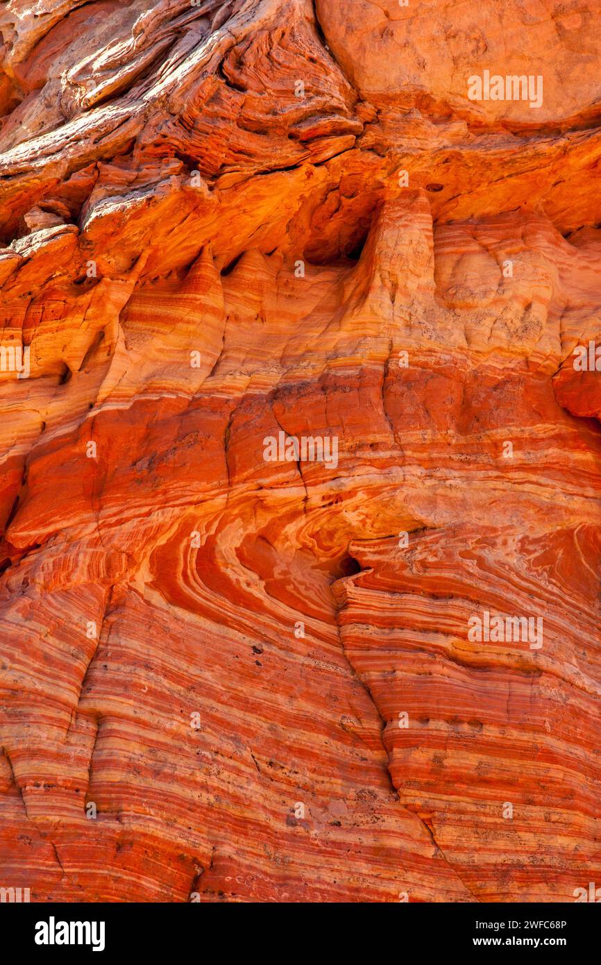 Motifs croisés dans le grès Navajo à South Coyote Buttes, Vermilion Cliffs National Monument, Arizona. Banque D'Images