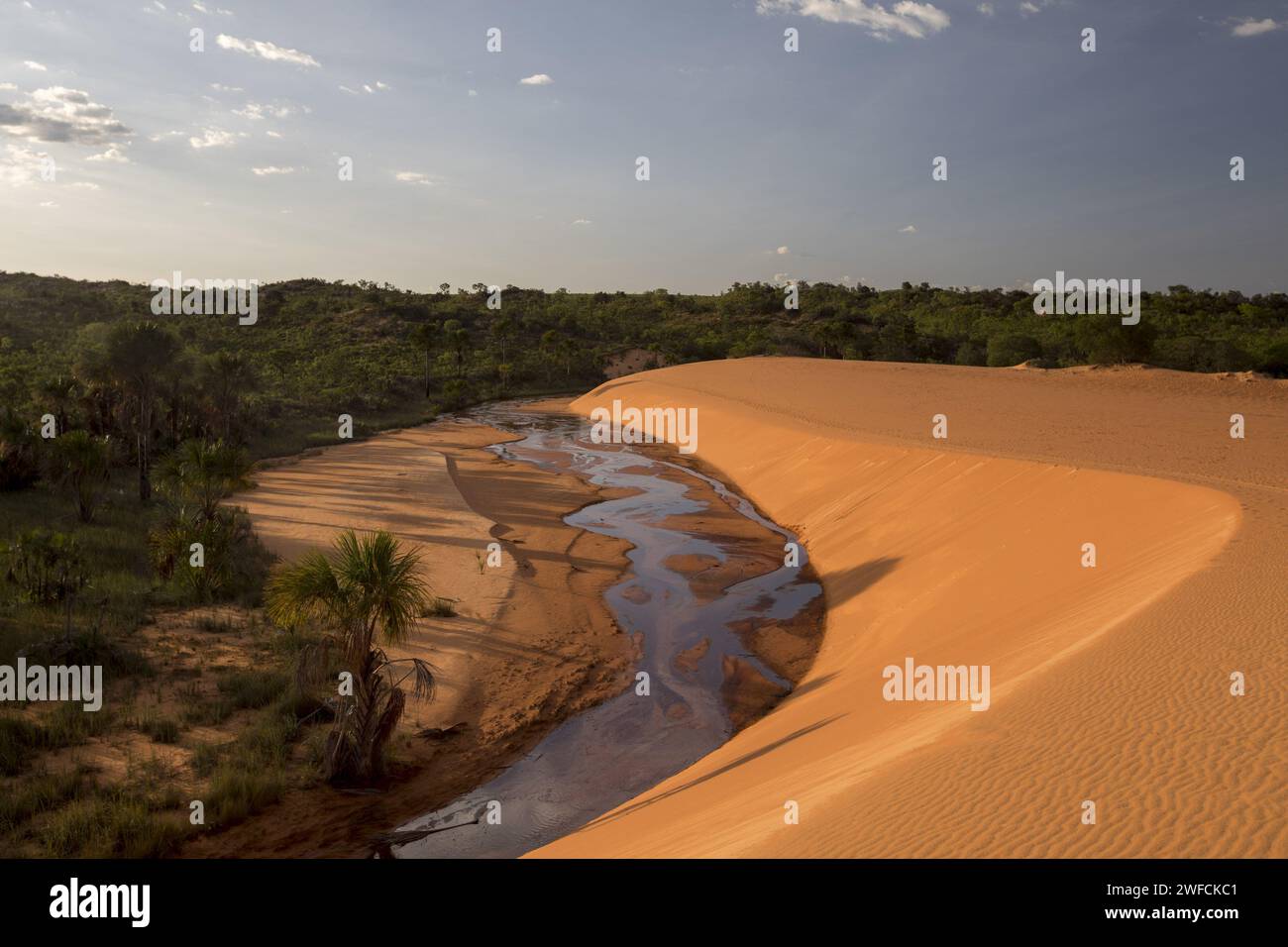 Dunes du parc national de Jalapão - Banque D'Images