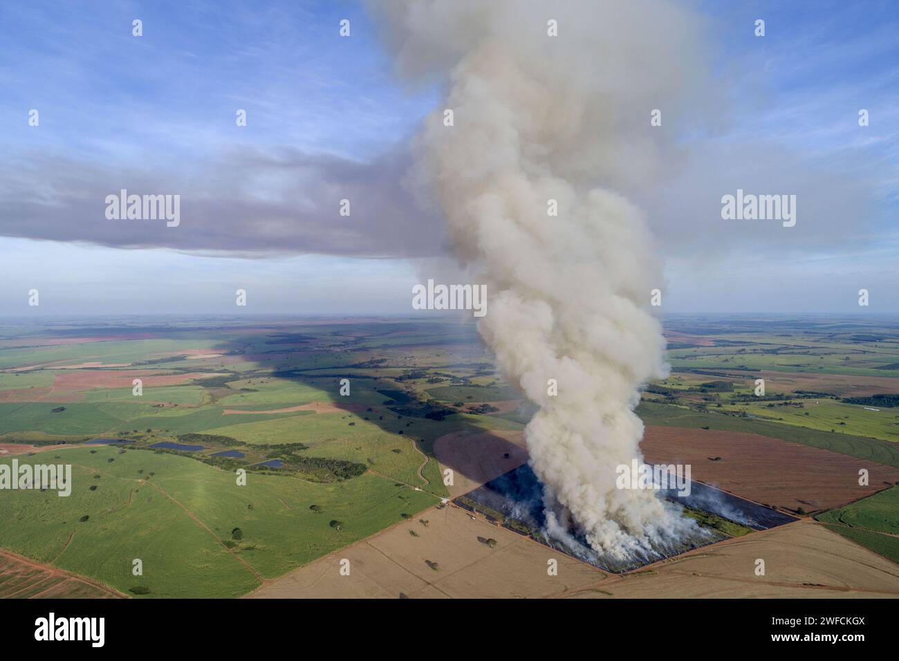 Vue du drone brûlé dans la plantation de canne à sucre - Banque D'Images