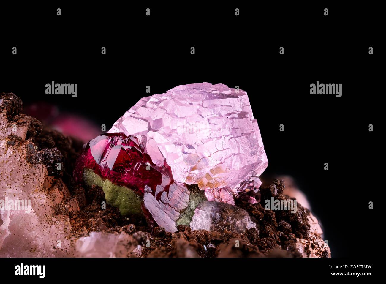 Calcite cobaltifère (rose) avec détails de macrophotographie rosélite (rouge) et cobaltoaustinite (vert). De la mine d'Aghbar, Bou Azzer, Maroc Banque D'Images