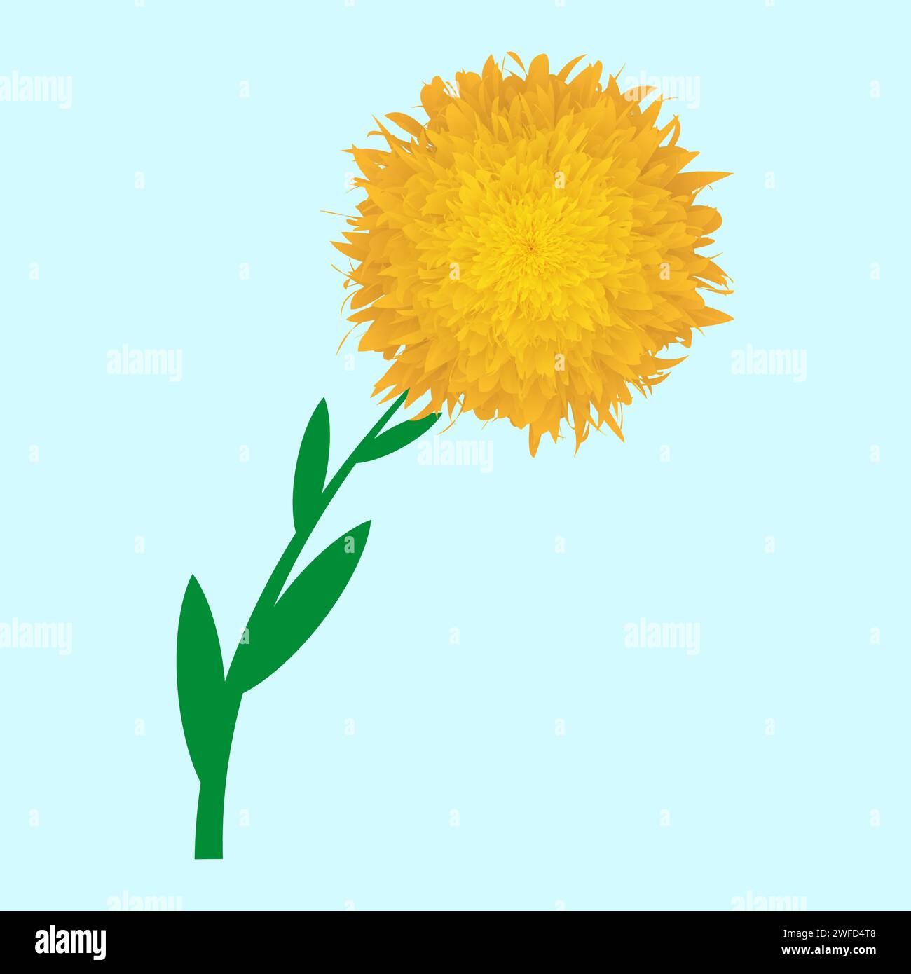 fleur réaliste jaune moelleuse. Motif floral végétal. Illustration vectorielle. SPE 10. Illustration de Vecteur