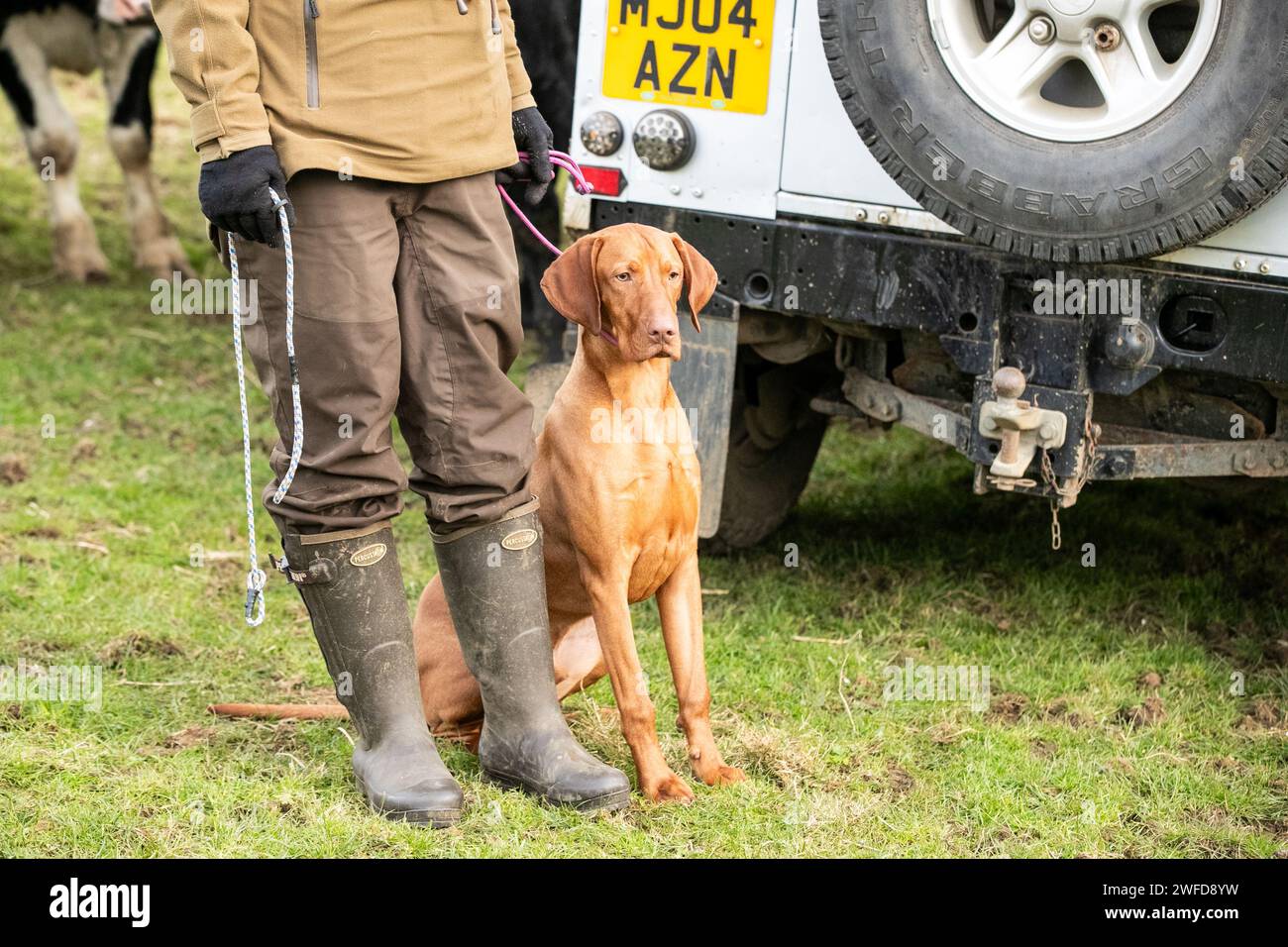 Fieldsports Shoot Banque D'Images