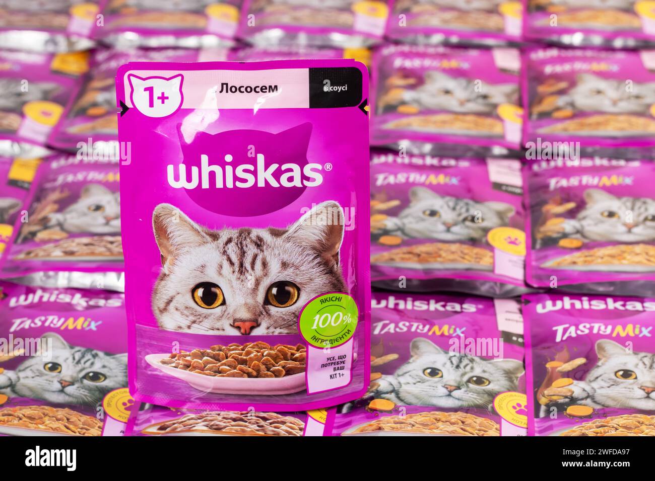 Dnipro, Ukraine - 04 août 2023 : les emballages violets de nourriture pour chats de marque Whiskas se rapprochent. Whiskas est une marque mondiale de nourriture pour chats produite par l'Americ Banque D'Images