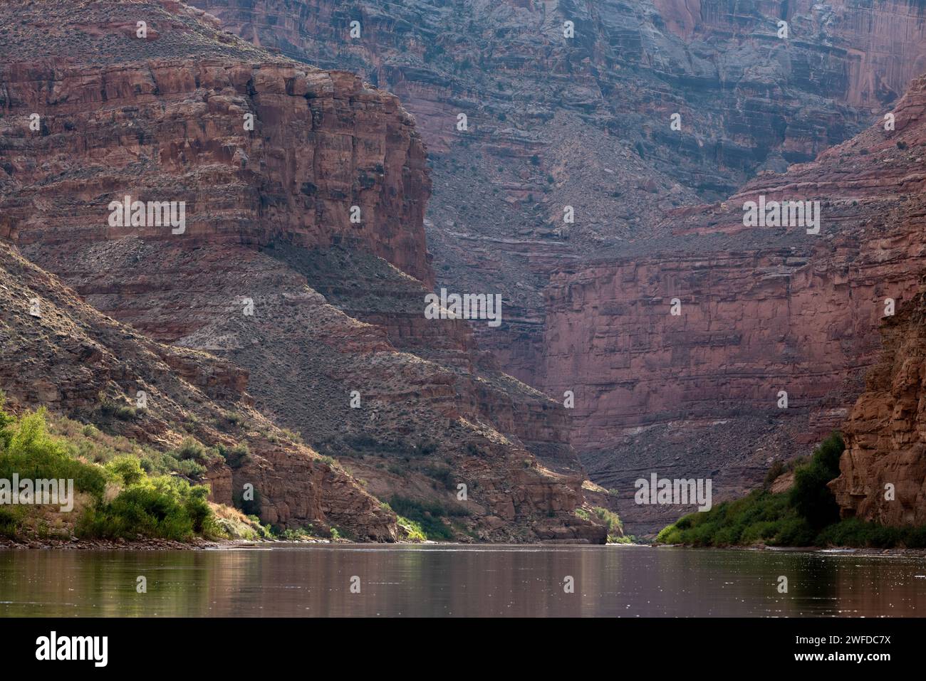 Le fleuve Colorado dans Cataract Canyon, parc national de Canyonlands, Utah. Banque D'Images