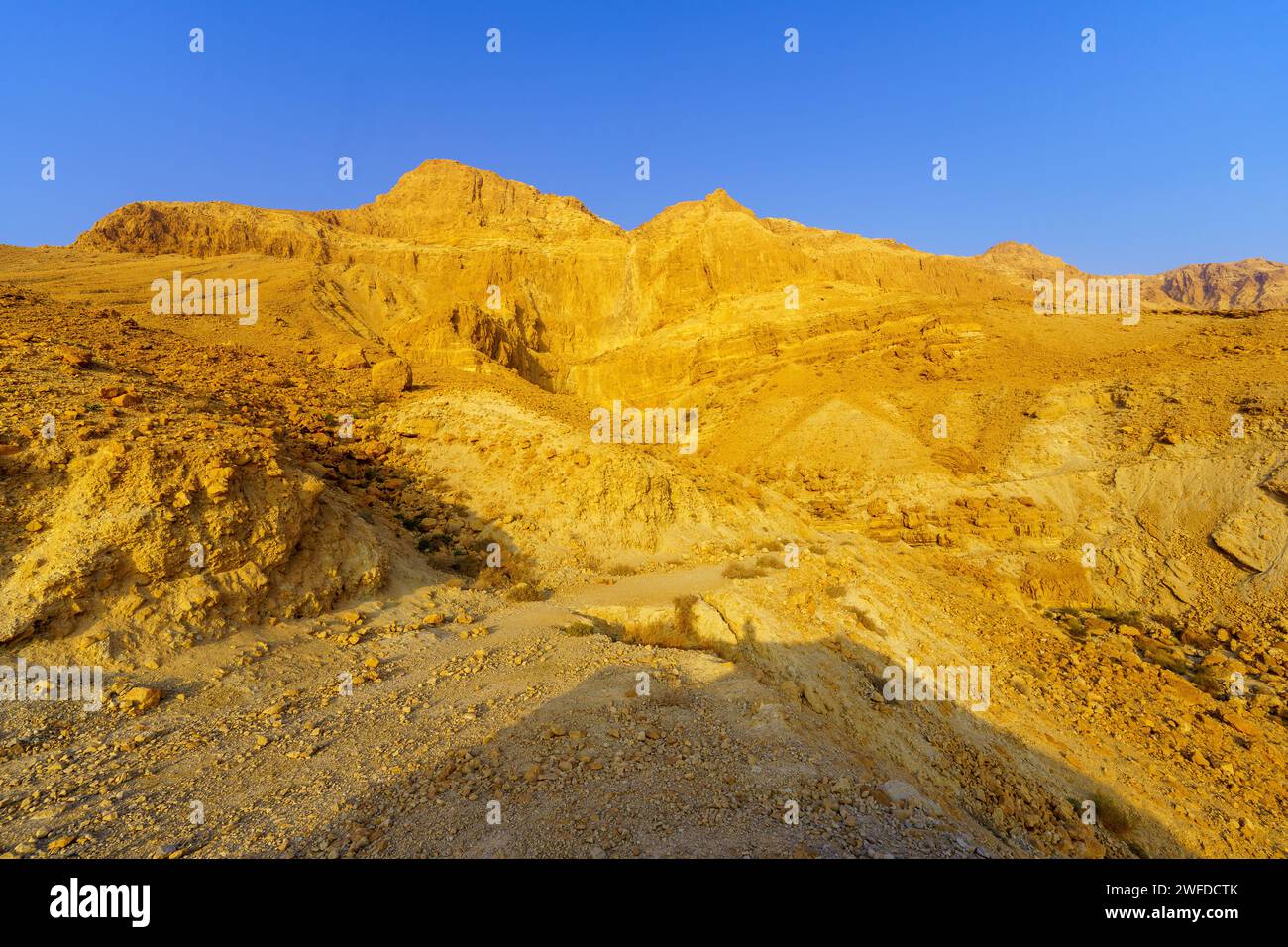 Vue sur le paysage désertique et un sentier pédestre dans la vallée de Salvadora (oued, lit de rivière), sur la côte de la mer Morte, désert de Judée, sud d'Israël Banque D'Images