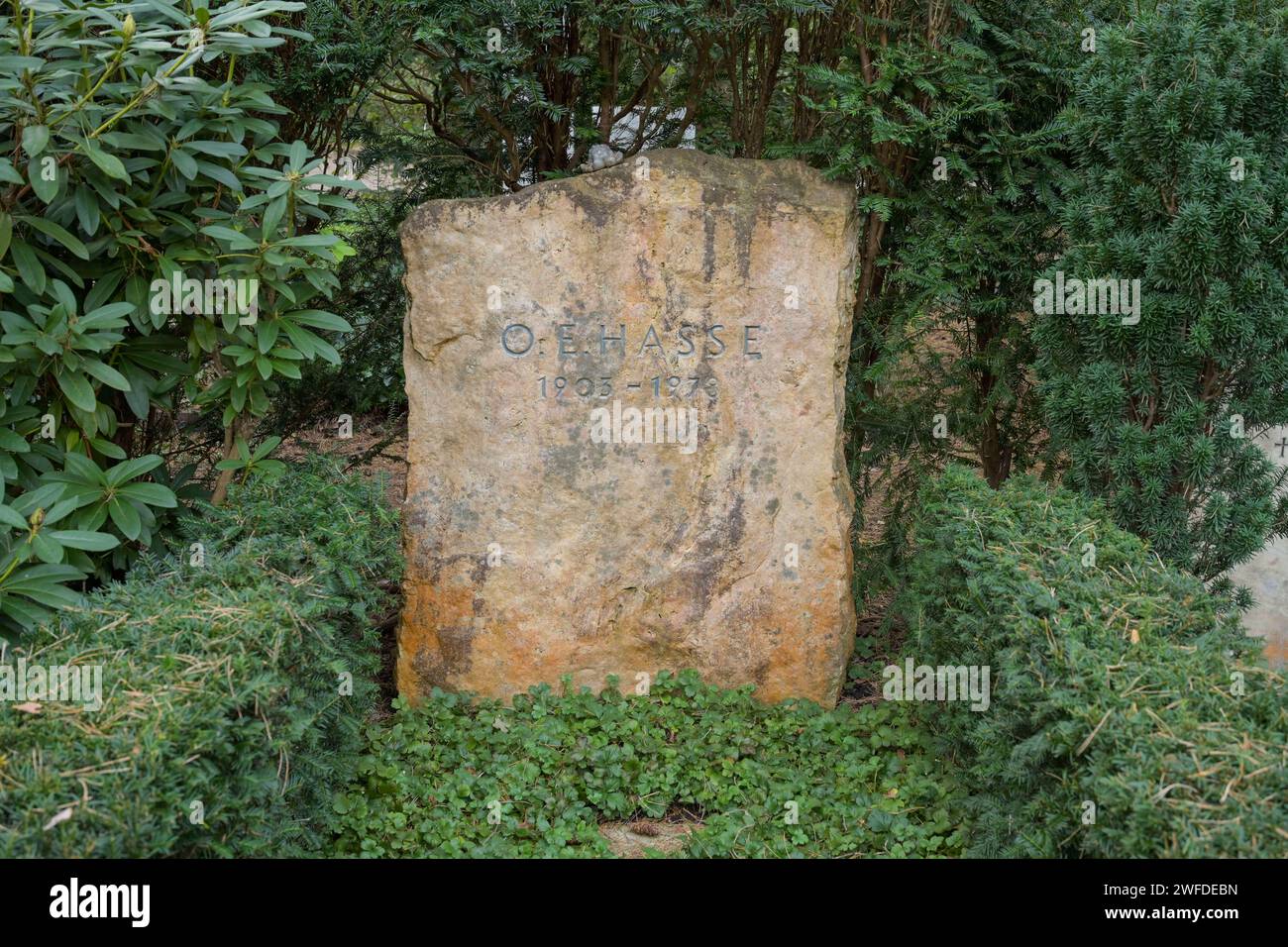 Otto Eduard O. E. Hasse, Ehrengrab, Waldfriedhof Dahlem, Hüttenweg, Steglitz-Zehlendorf, Berlin, Allemagne Otto Eduard O. E. Hasse, Ehrengrab, Waldfriedhof Dahlem, Hüttenweg, Steglitz-Zehlendorf, Berlin, Deutschland *** Otto Eduard O E Hasse, tombe d'honneur, Waldfriedhof Dahlem, Hüttenweg, Steglitz Zehlendorf, Berlin, Allemagne Otto Eduard O E Hasse, tombe d'honneur, Waldfriedhof Dahlem, Hüttenweg, Steglitz Zehlendorf, Berlin, Allemagne Banque D'Images