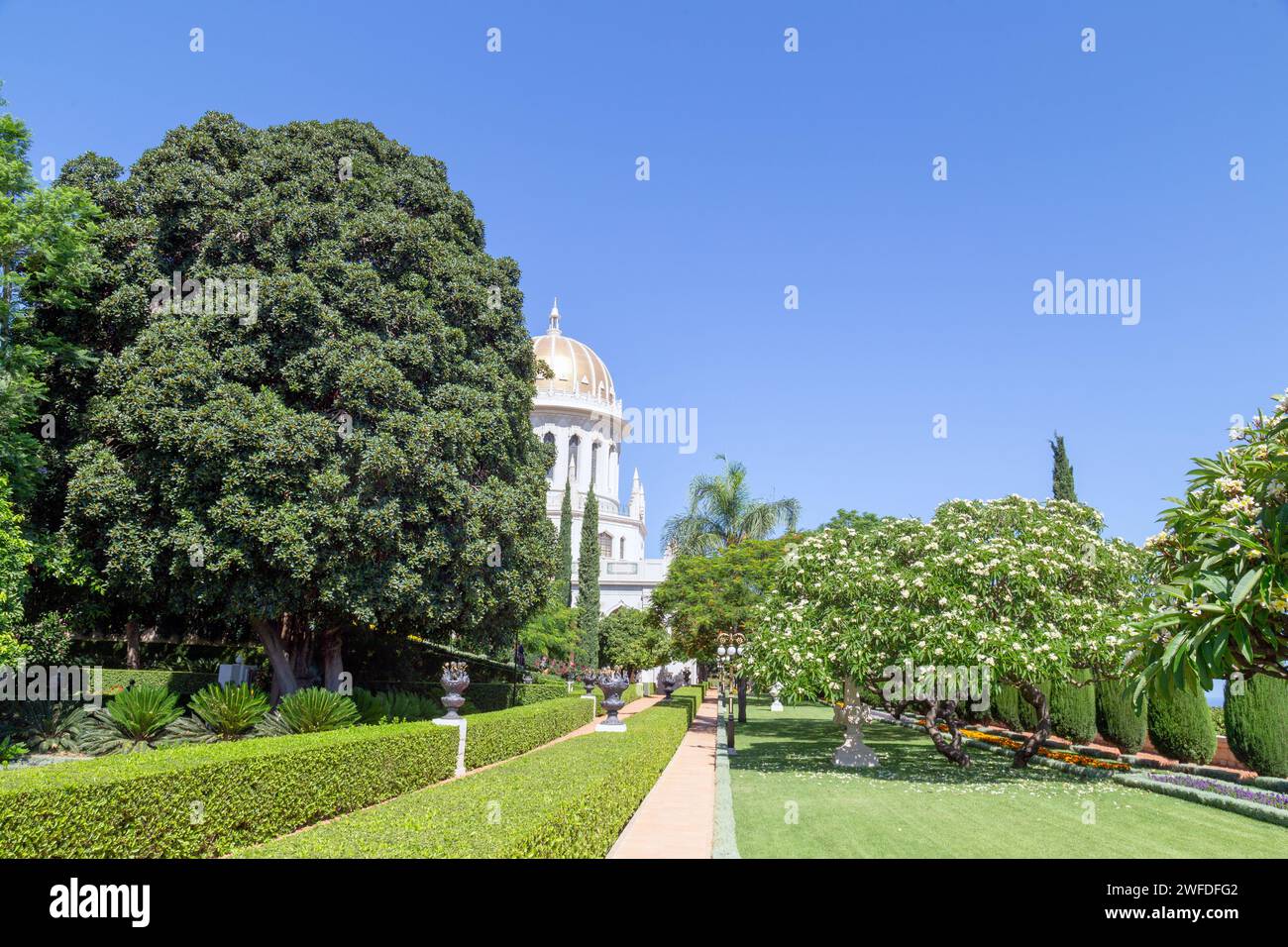 Jardins suspendus de Haïfa (Bahá’í Gärten) dans la ville de Haïfa (Israël) Banque D'Images