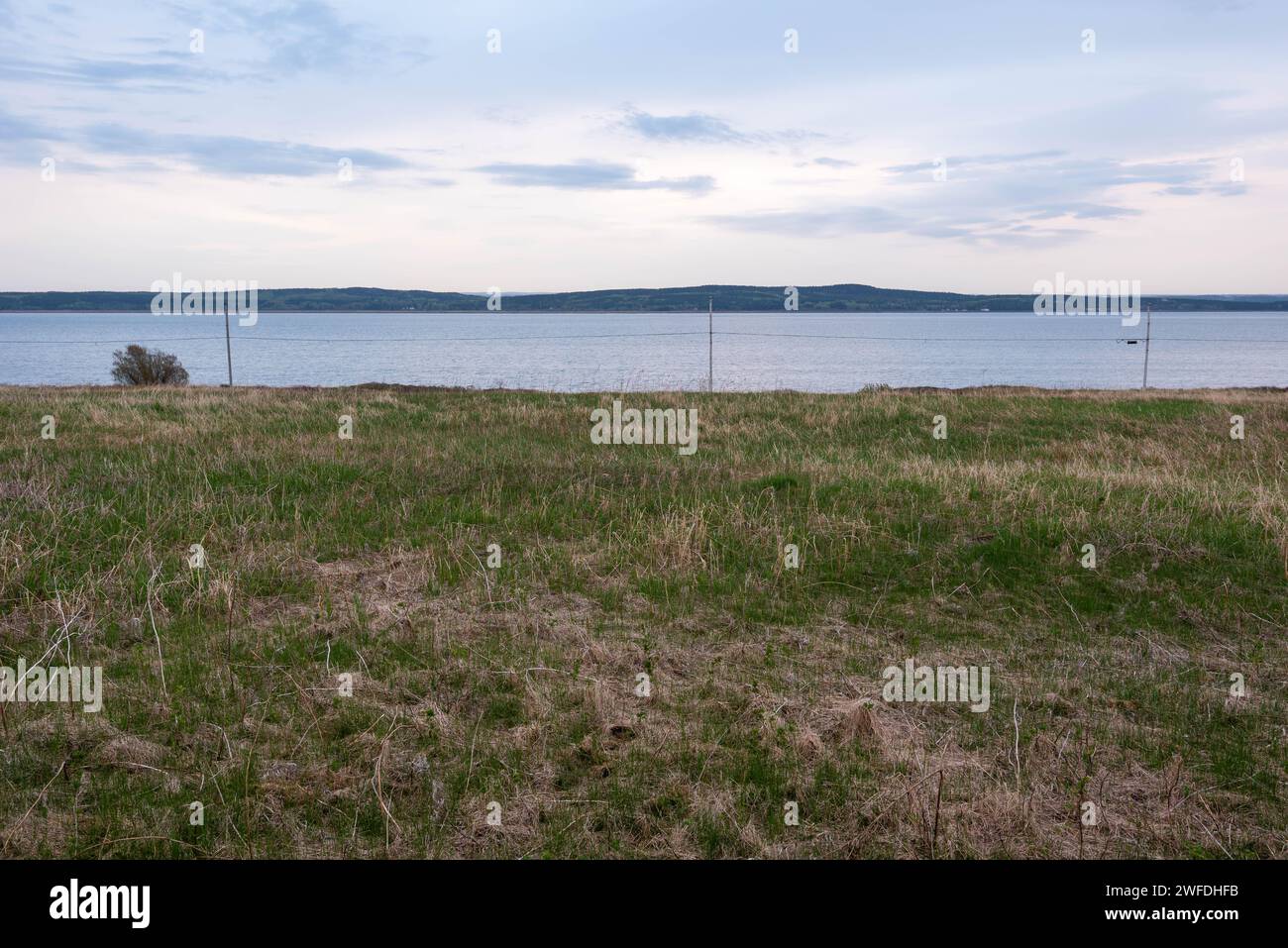 Terrain sur l’île de L’Isle-verte avec le fleuve Saint-Laurent et le Bas-Saint-Laurent en arrière-plan (L’Isle-verte, Québec, Canada) Banque D'Images