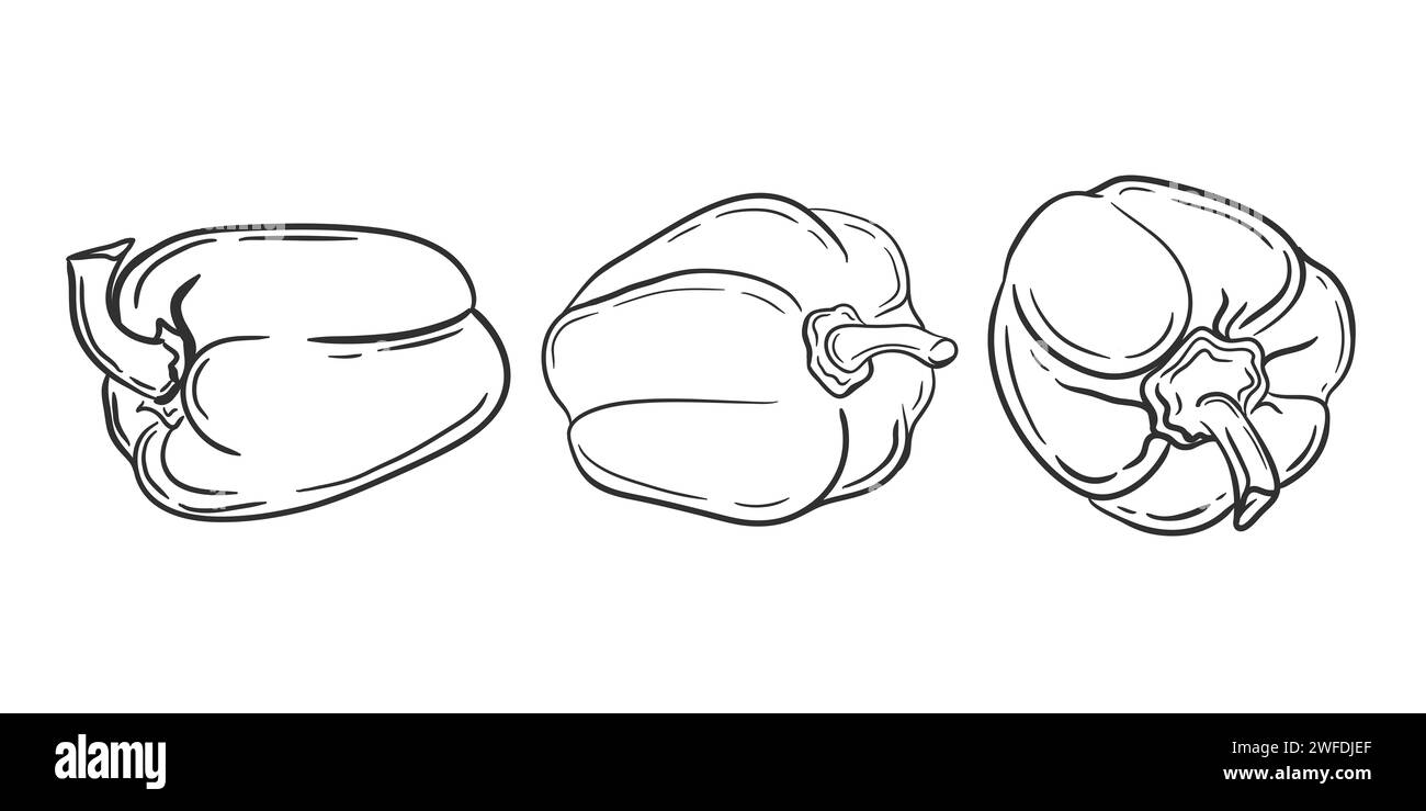 Poivre peint.ensemble de paprika sur un fond blanc.ASketch de légumes avec mascara . Banque D'Images