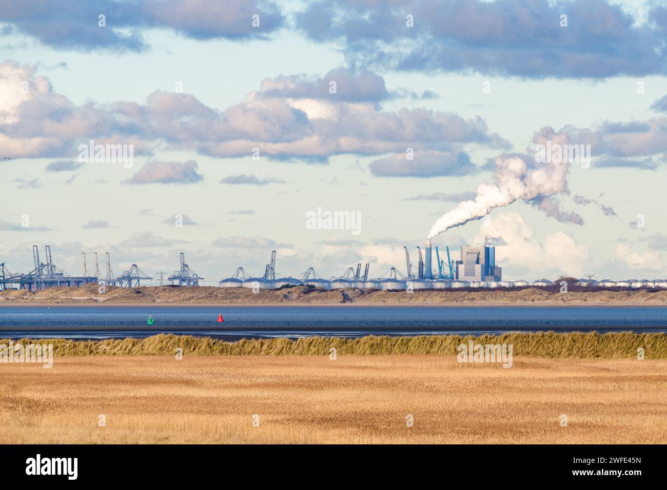 Industrie, éoliennes et centrale au charbon de Maasvlakte, Port de Rotterdam, vue depuis l'île Goeree-Overflakkee au nord se Banque D'Images