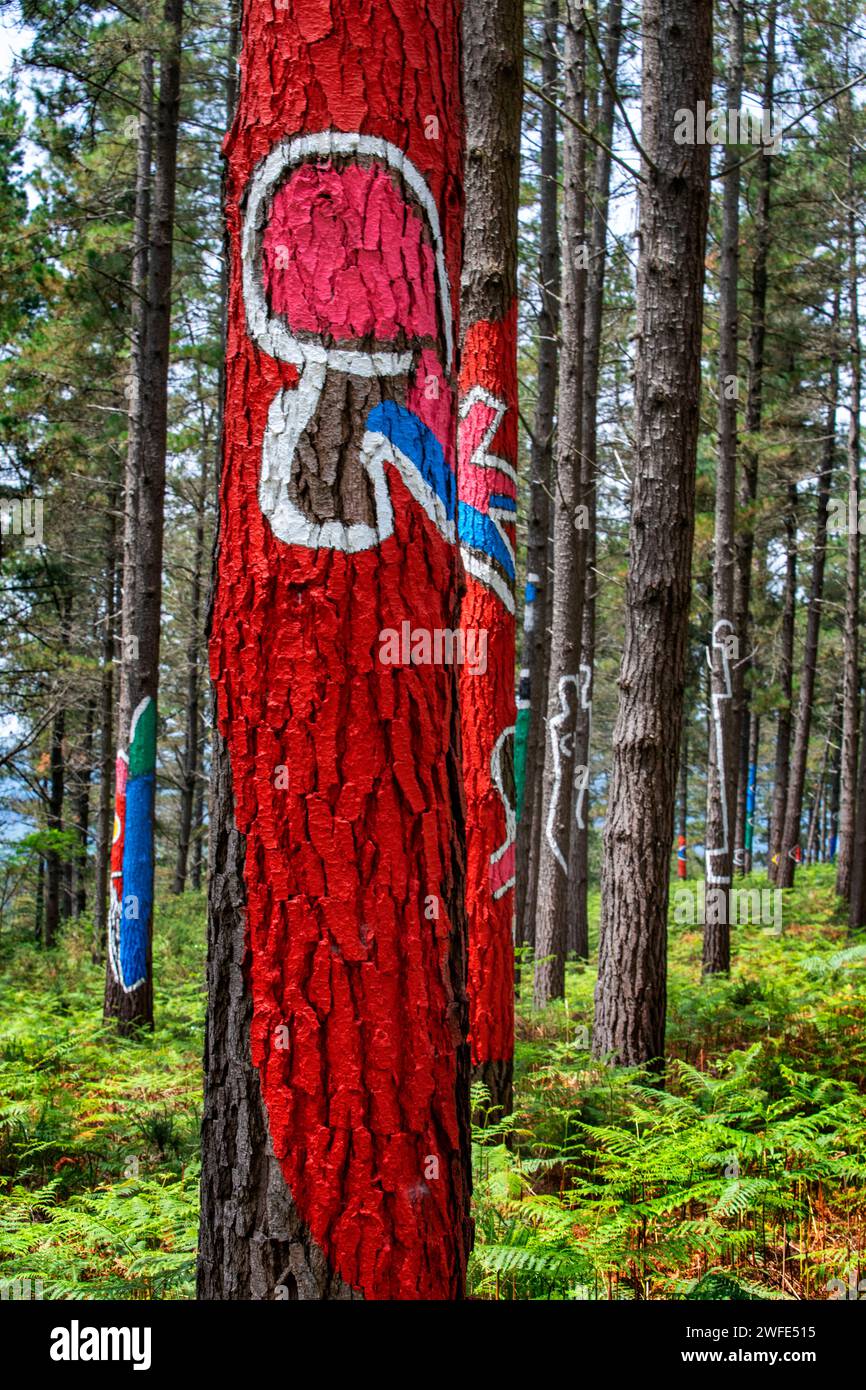 OMA Forest est une œuvre d'art d'Agustin Ibarrola, sculpteur et peintre basque, dans la réserve naturelle d'Urdaibai, Oma, Vizcaya, pays Basque Euska Banque D'Images
