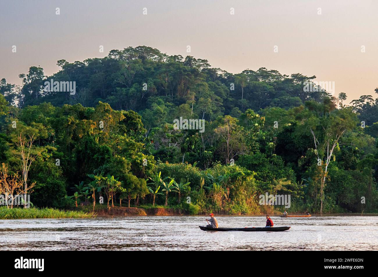 Petit bateau en bois naviguant avec les populations locales sur la rivière Purus en Amazonie sur la journée ensoleillée d'été avec des arbres sur la rive de la rivière, près d'Iquitos, Loreto, Pérou. Navigat Banque D'Images