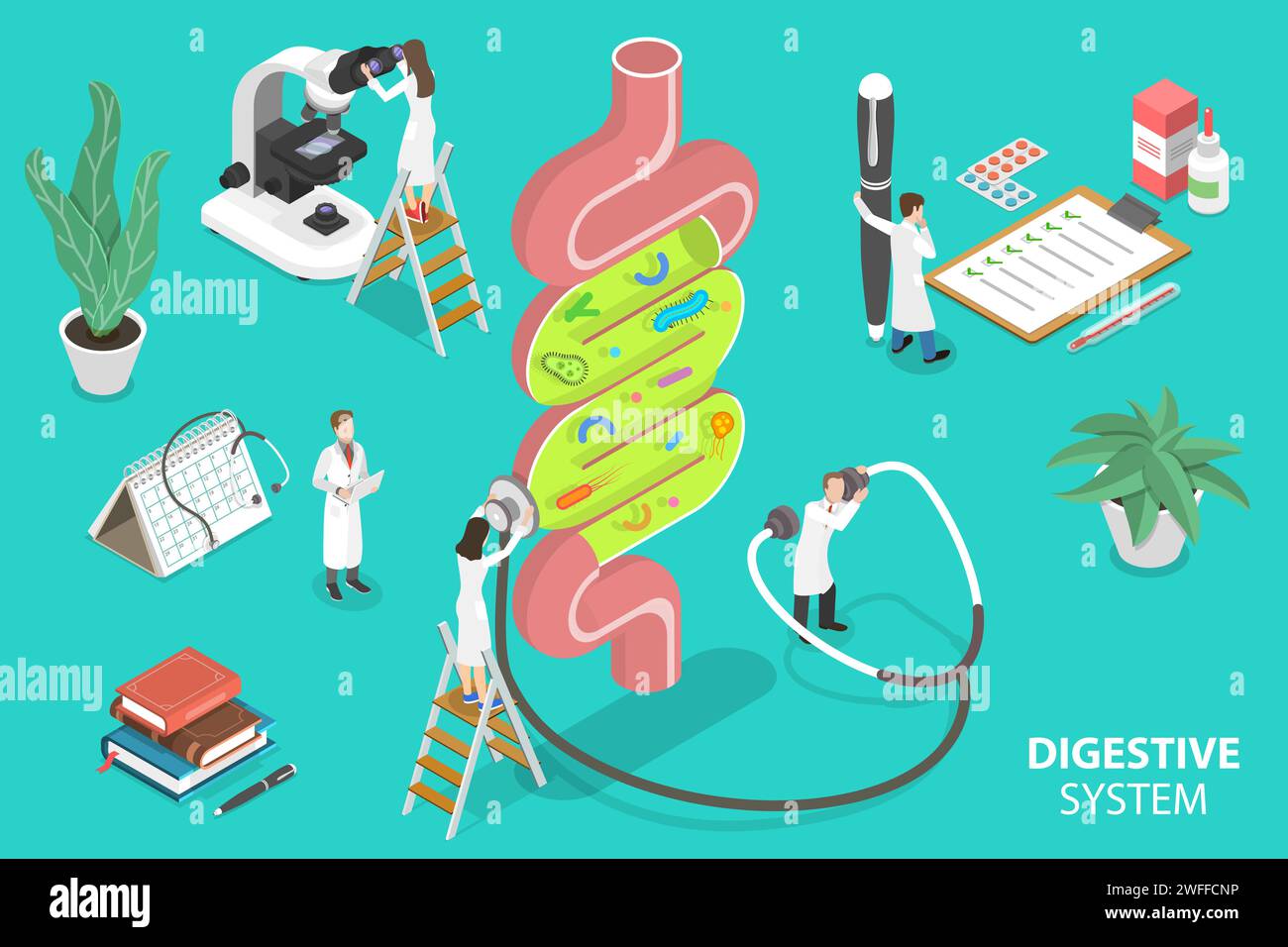 Human Gut Flora, système digestif sain. Illustration conceptuelle isométrique vectorielle plate 3D. Illustration de Vecteur