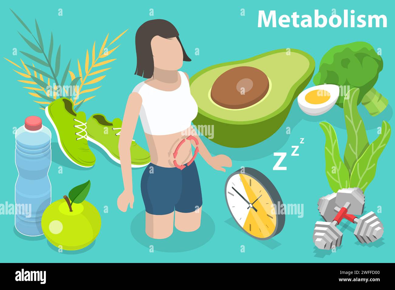 Illustration conceptuelle isométrique à vecteur plat 3D du métabolisme du corps humain, du système digestif et des hormones. Illustration de Vecteur