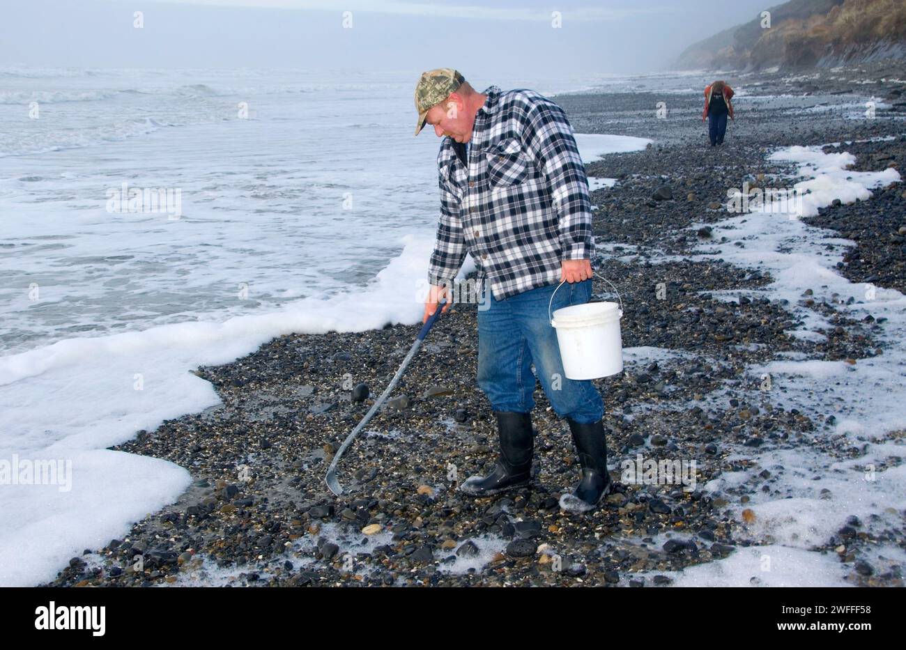 Collecteur d'Agate sur plage, parc d'état de Lost Creek, Oregon Banque D'Images