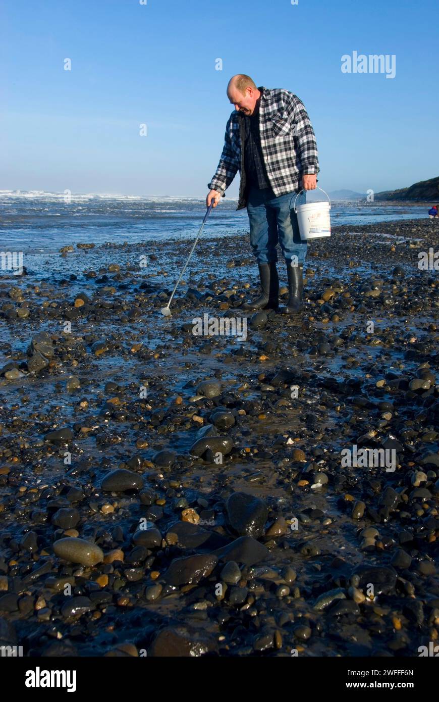 Collecteur d'Agate sur plage, parc d'état de Lost Creek, Oregon Banque D'Images