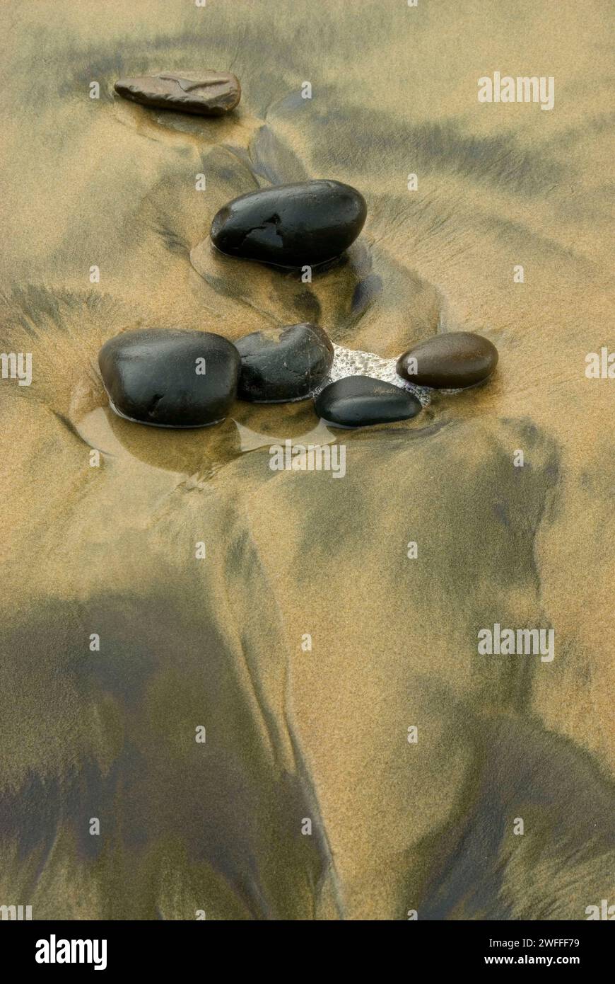 Des galets sur la plage, les routes fin State Park, New York Banque D'Images