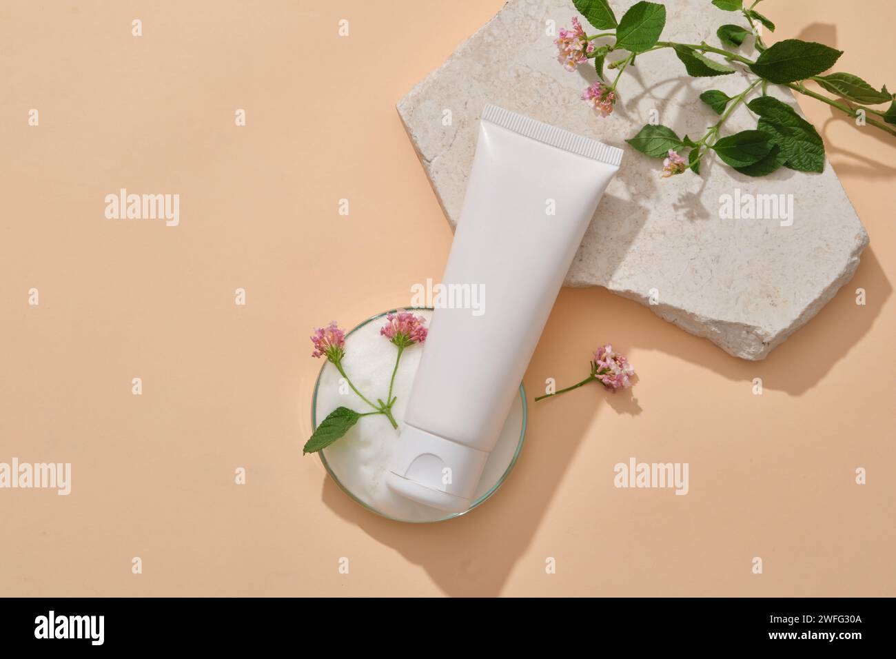 Sur fond pastel, le tube sans marque est décoré de pierres brisées, d'une boîte de Pétri en verre contenant des mousses et de fleurs de Lantana camara. Beaut Banque D'Images