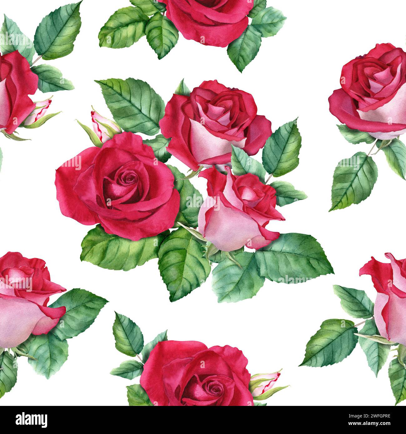 Aquarelle modèle sans couture avec fleurs Rose fleurs, bourgeons et feuilles. Pour envelopper le textile de tissu de papier peint Banque D'Images