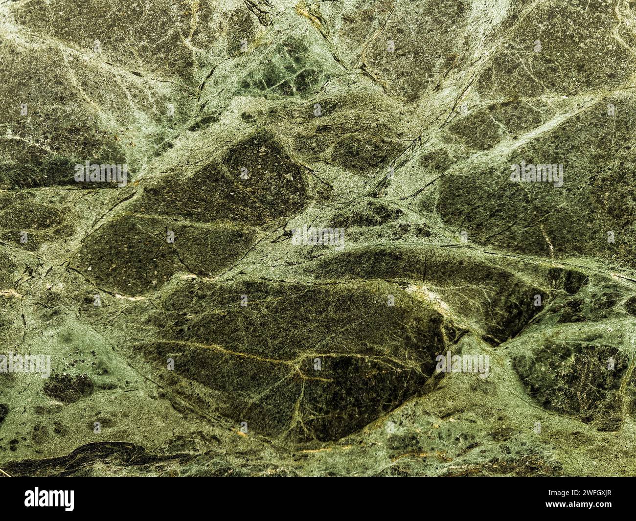 Fond de pierre de dalle de granit à texture brillante en marbre vert poli Banque D'Images