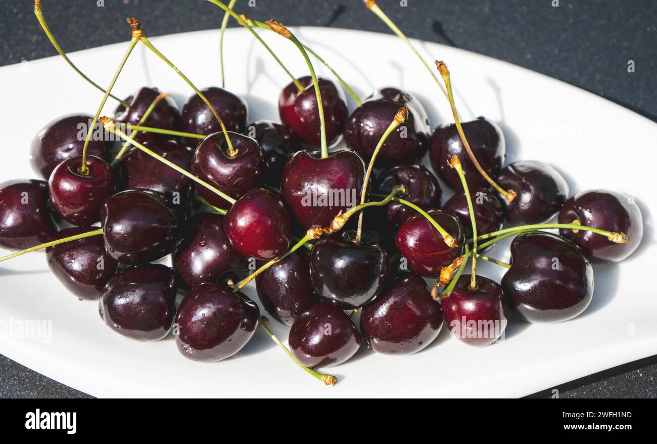Cerisier, cerise douce (Prunus avium), cerises douces sur une assiette Banque D'Images