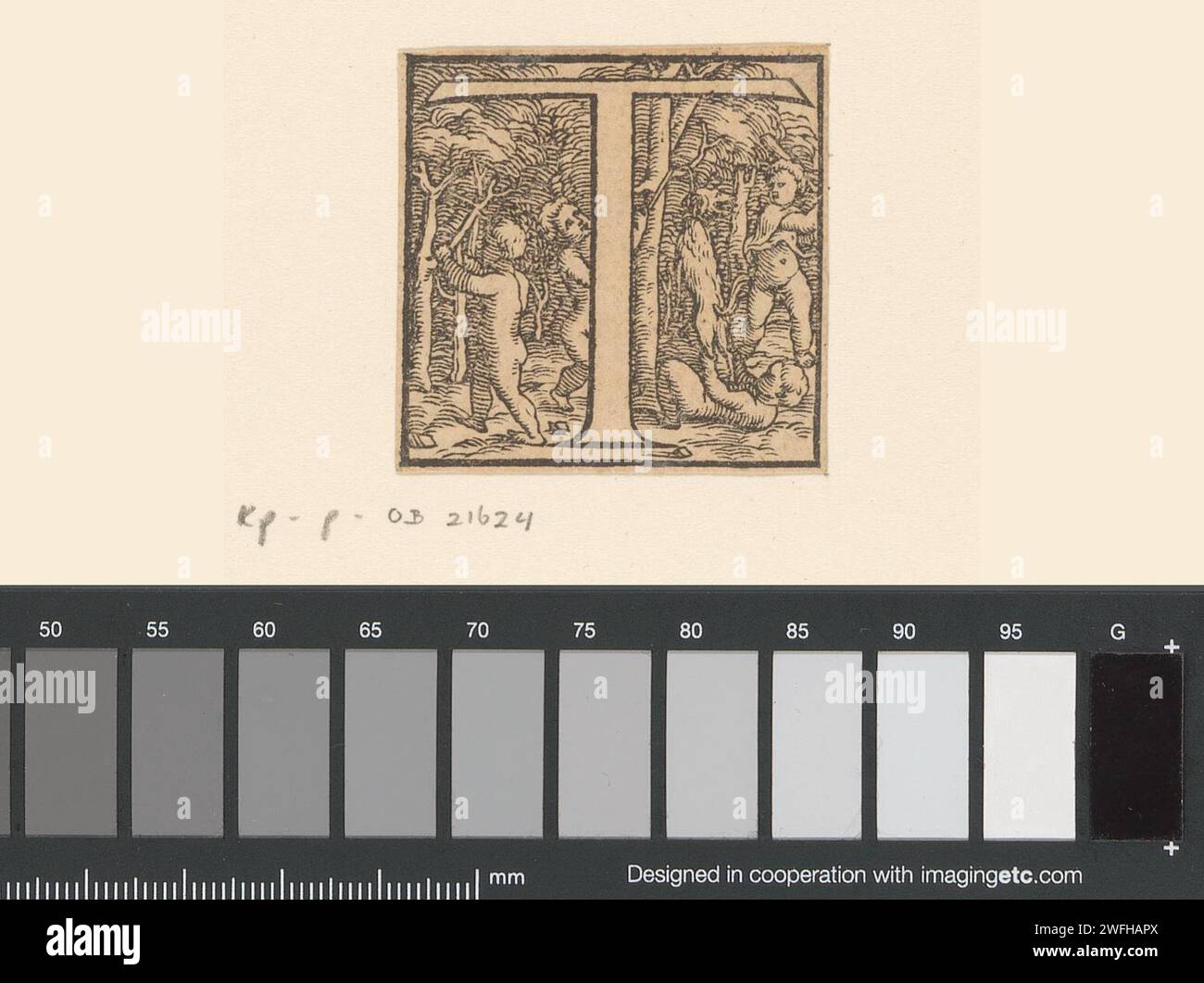 Lettre T : les enfants pendent un chien, Anonyme, Jan Stefan van Calcar (possible), 1543 papier chien. physiologie et anatomie. lettres, alphabet, script Banque D'Images