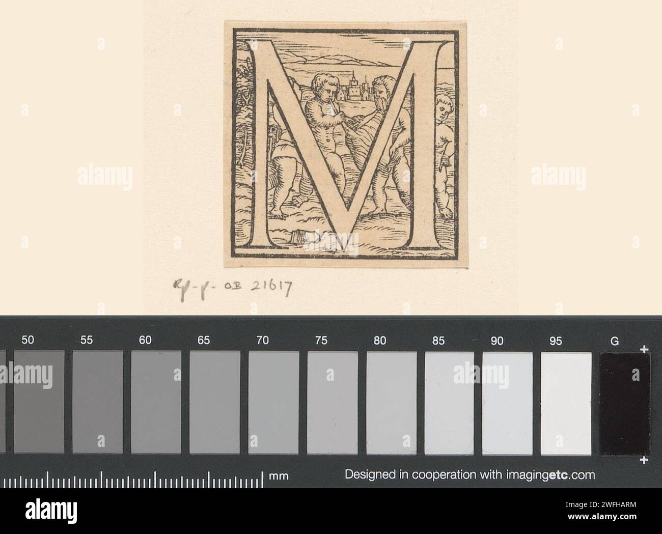 Lettre M : des enfants disséquent un animal, Anonymous, Jan Stefan van Calcar (possible), 1543 papier d'impression physiologie et anatomie. lettres, alphabet, script Banque D'Images