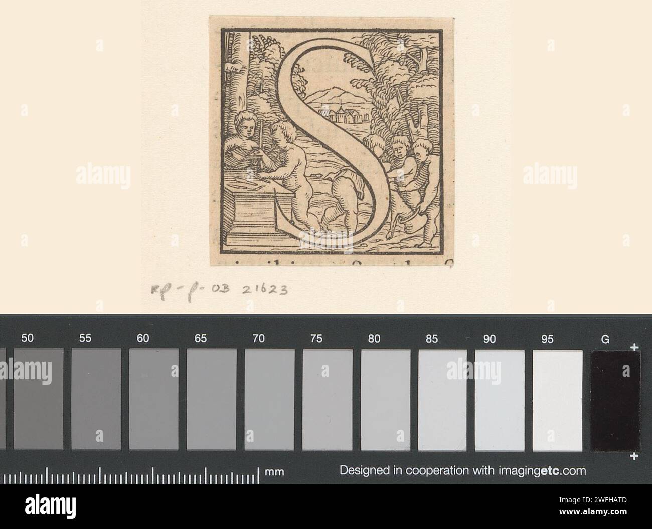 Lettre S : les enfants préparent la dissection d'un animal, Anonyme, Jan Stefan van Calcar (possible), 1543 papier d'impression physiologie et anatomie. lettres, alphabet, script Banque D'Images
