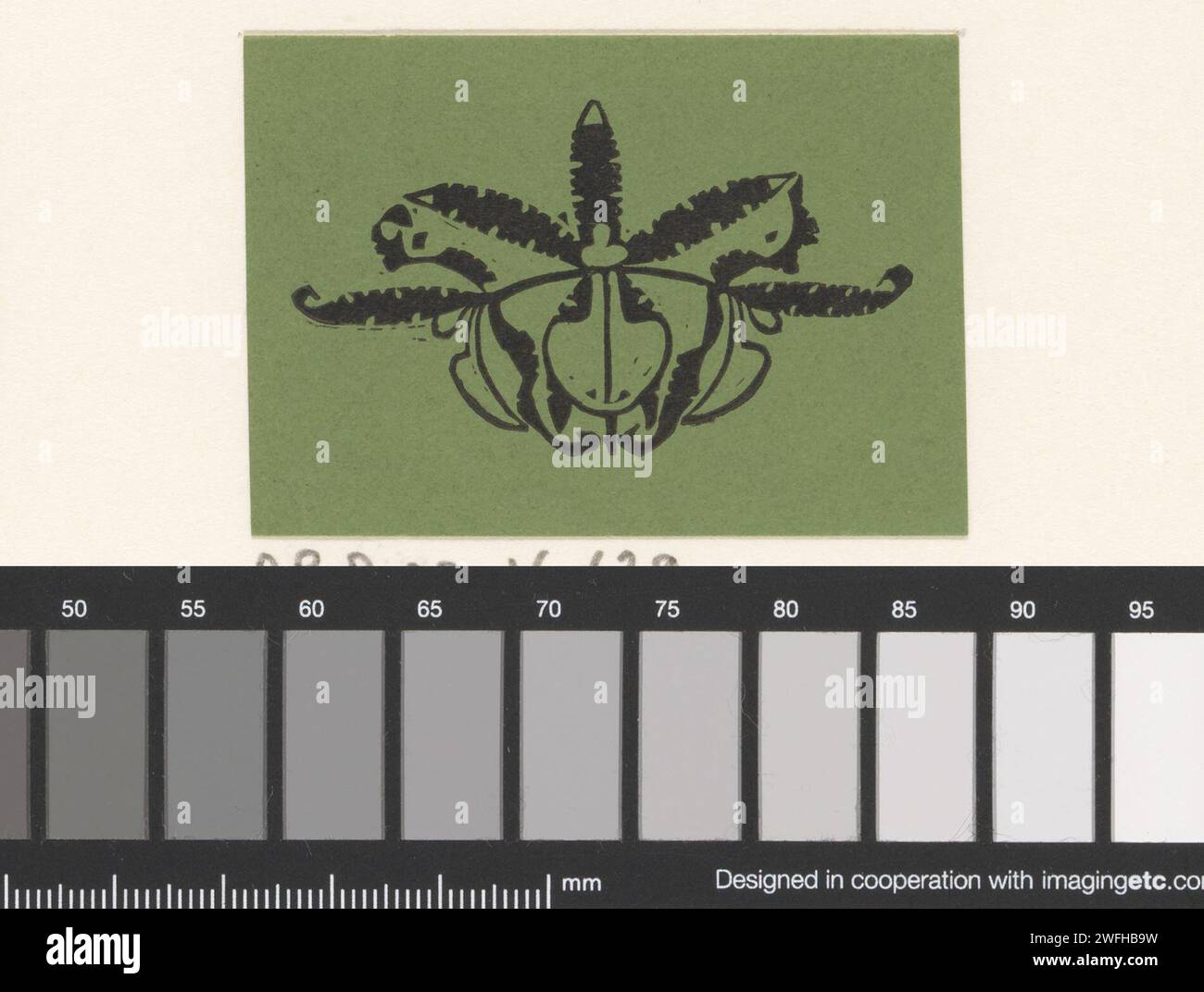 Vignette avec Orchidée, Gerrit Willem Dijsselhof, 1892 fleurs en papier imprimé : orchidée Banque D'Images