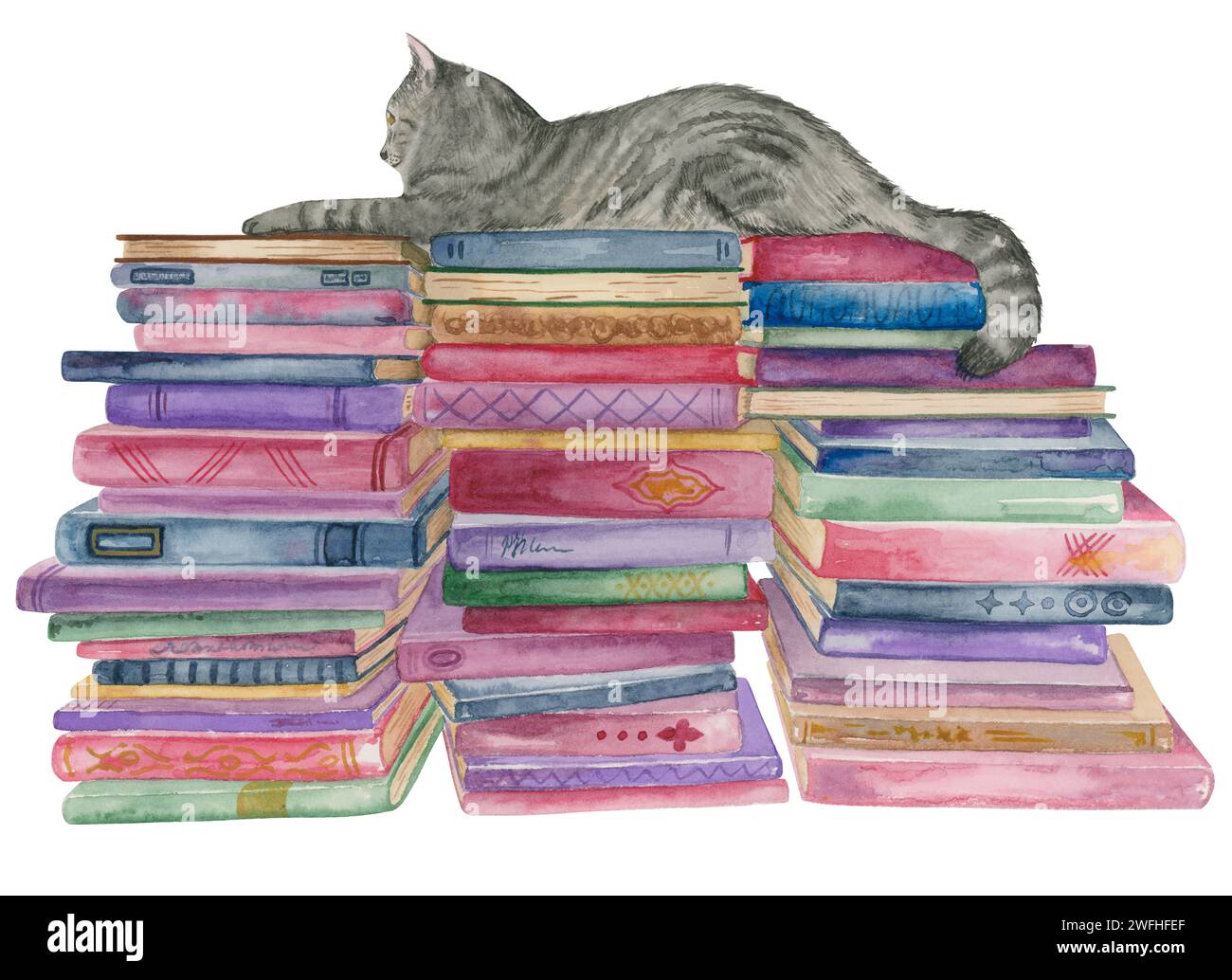 Chat britannique gris allongé sur trois piles de livres Banque D'Images