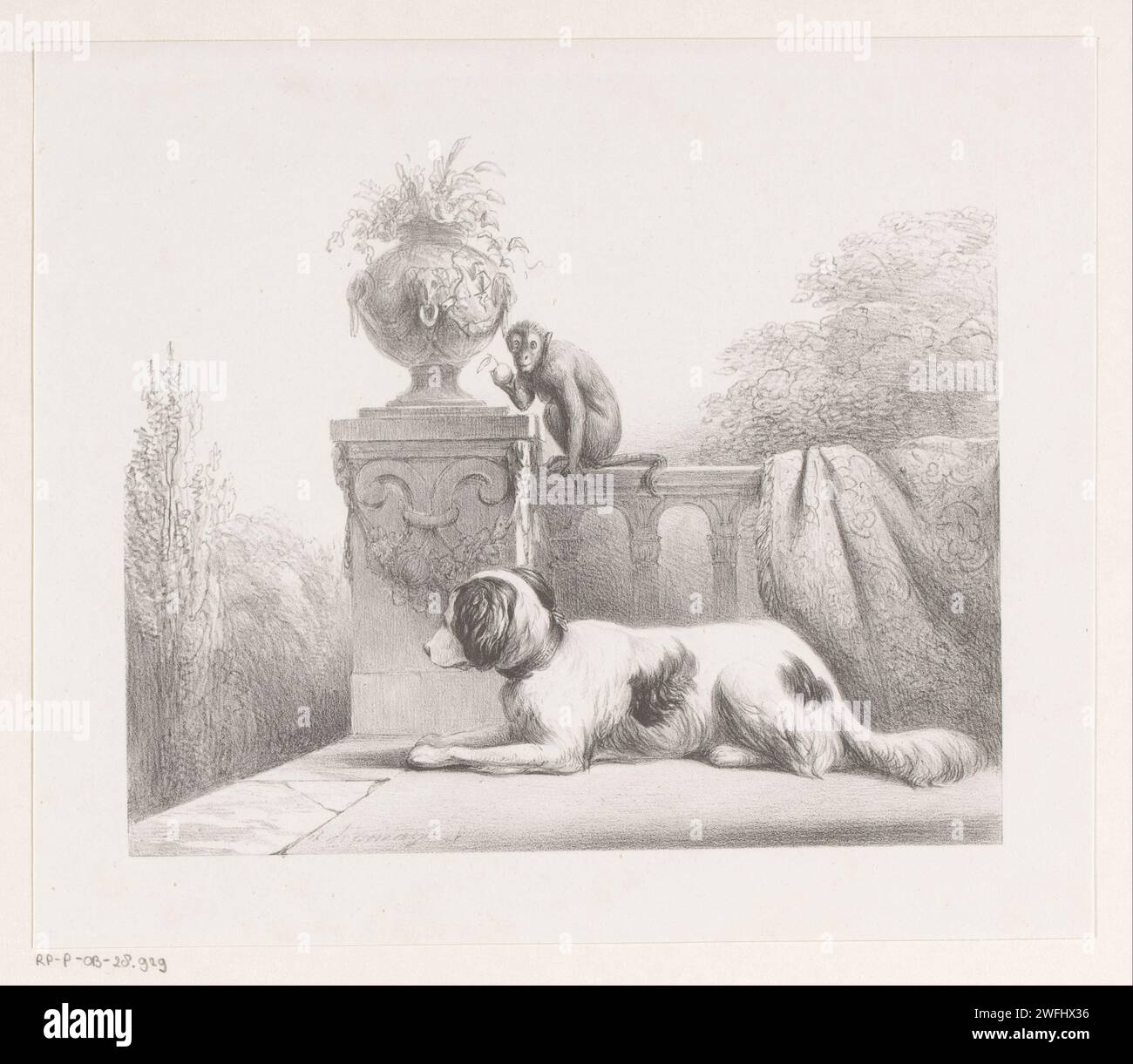 Chien et singe sur la terrasse, Arie Ketting de Koningh, 1849 - 1859 imprimer le singe est assis à côté d'un vase de jardin et a une pomme dans sa jambe. Sur la droite se trouve un tapis au-dessus de la balustrade. chien en papier. singes, singes. terrasse Banque D'Images