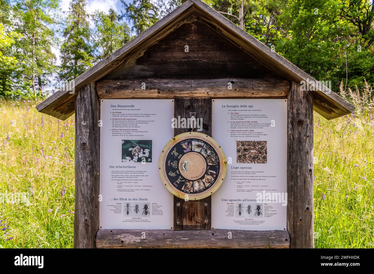 Panneau avec des informations sur les abeilles dans le sentier du Musée des abeilles, village de Costalovara, municipalité de Renon, Trentin-Haut-Adige, Tyrol du Sud, Italie du nord Banque D'Images